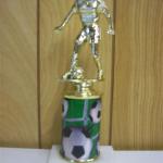 Trophy 328
Size and color of column can be customized 